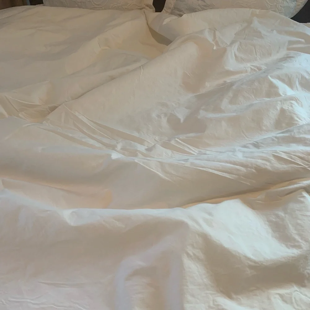 Pottery Barn King Duvet w 2 Euros